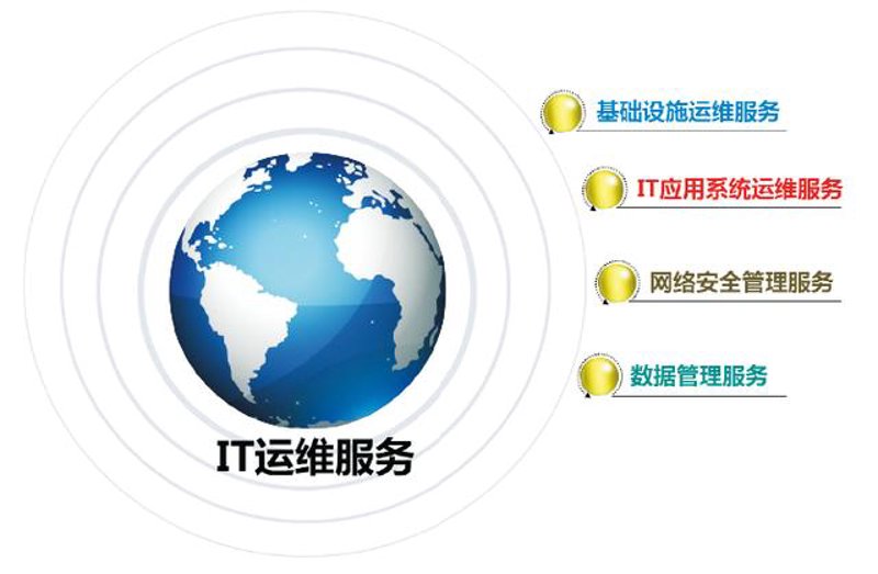 上海文亢信息服务：数字转型中的智慧之光